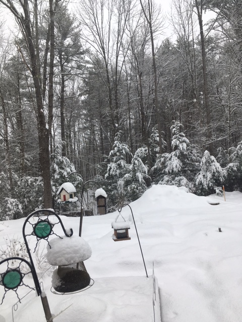 Feb snow birdfeeders